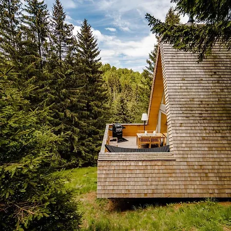 Strajerii Verzi Lodge Braşov