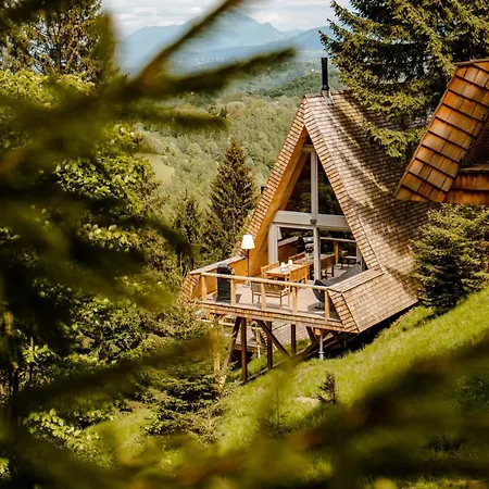 Strajerii Verzi Brasov