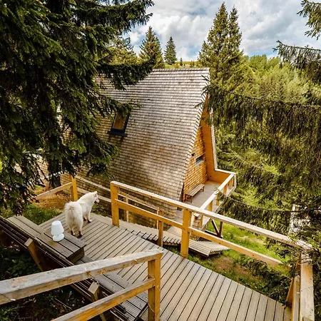 Strajerii Verzi Lodge