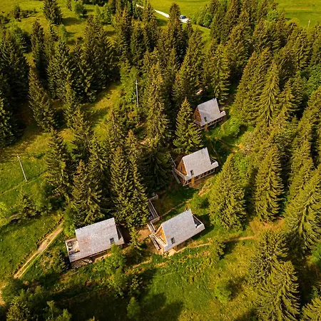 Lodge Strajerii Verzi *