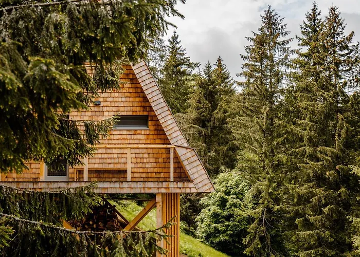 山林小屋 Strajerii Verzi