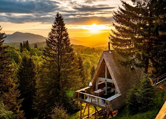 Strajerii Verzi * 布拉索夫