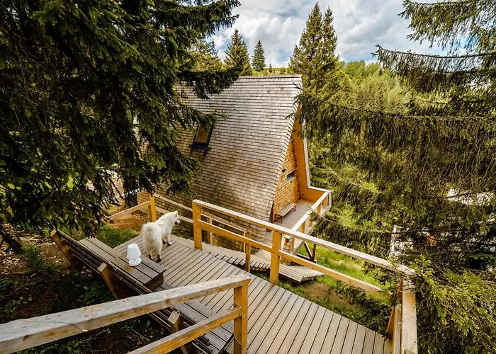 Strajerii Verzi 山林小屋