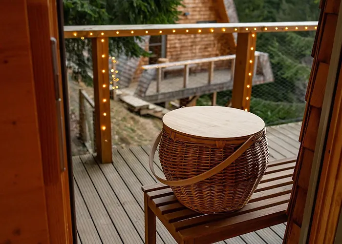 Strajerii Verzi * Brasov