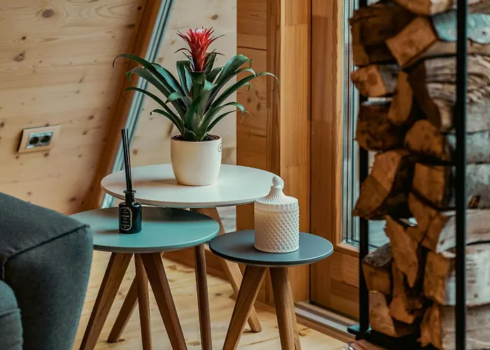 Strajerii Verzi 山林小屋