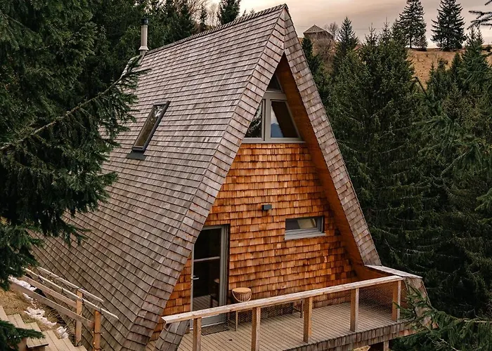 Strajerii Verzi * 布拉索夫