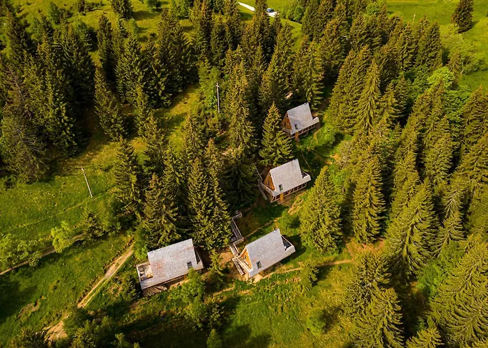 Lodge Strajerii Verzi *